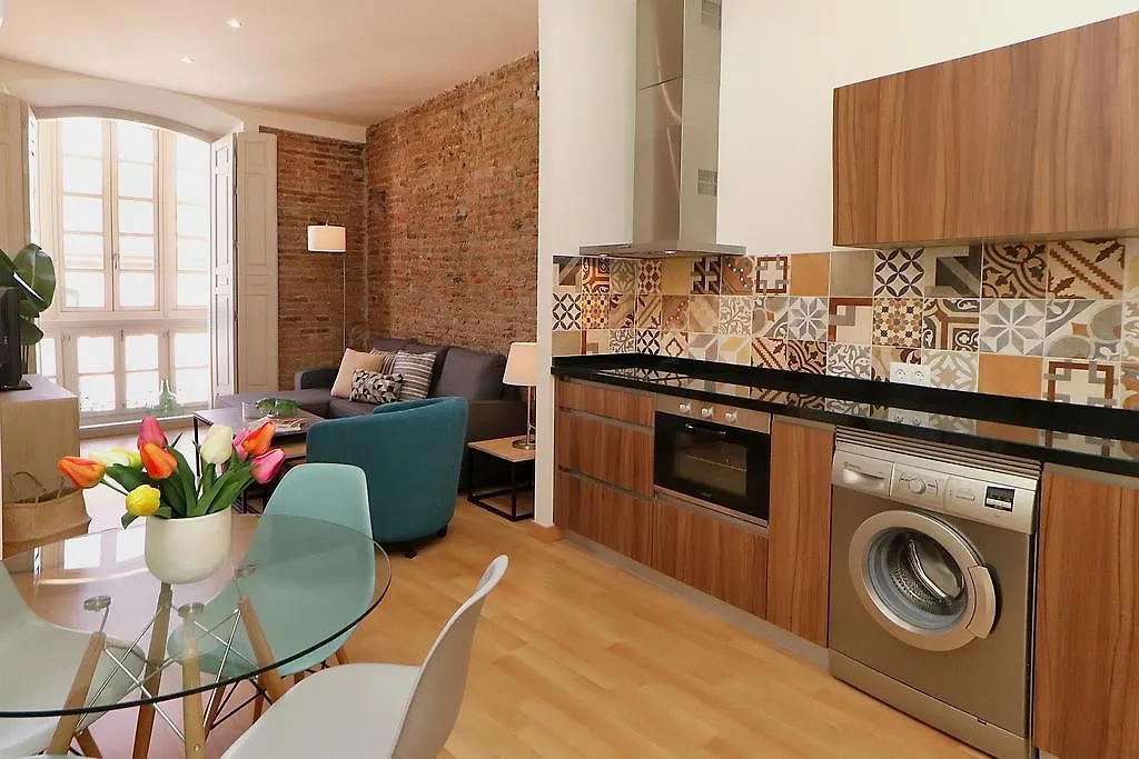 Apartment Iloftmalaga City Center